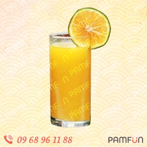 Nước Cam Sành (Nguyên Chất)